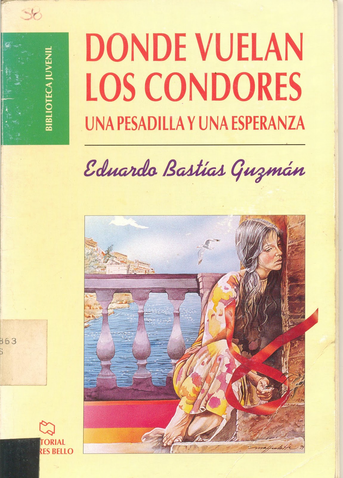 a donde vuelan los condores